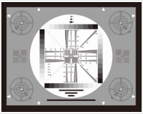 1755162264319438.jpg 1755162246631.jpg