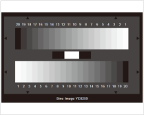 1755141853263457.jpg 1755141837808.jpg