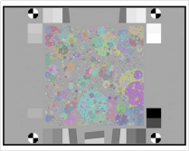 1755162448446100.jpg 1755162429884.jpg